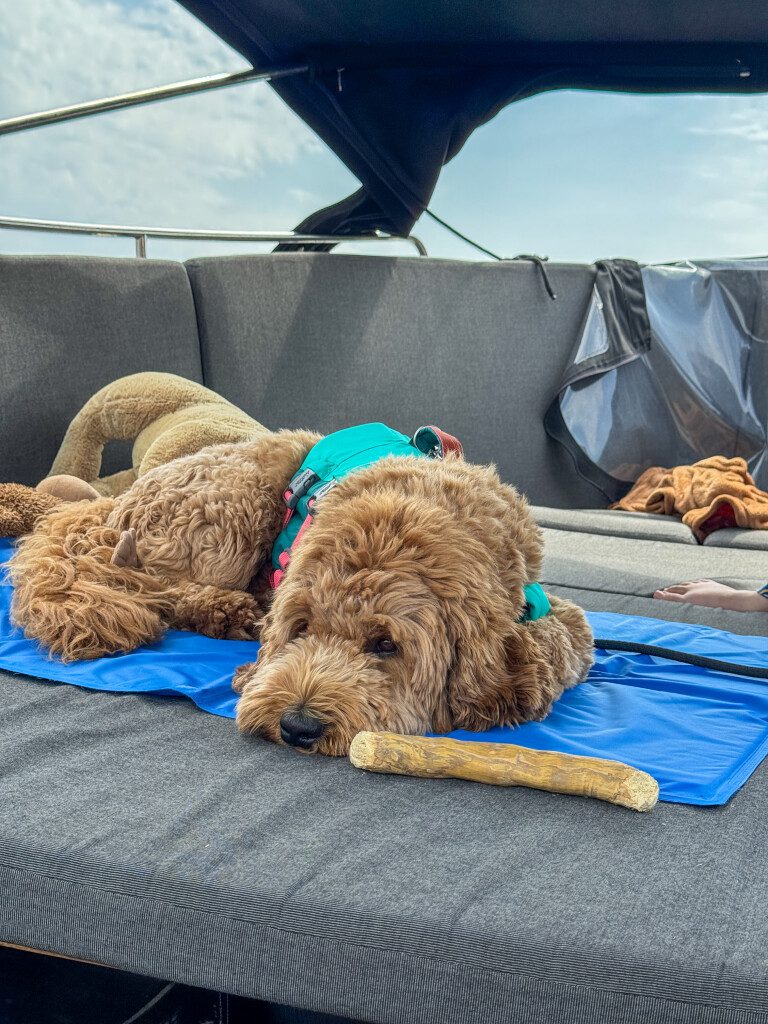 Thuis bij familie over de kook: week 26