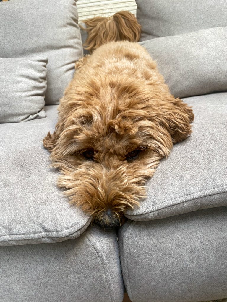 Thuis bij familie over de kook: week 27