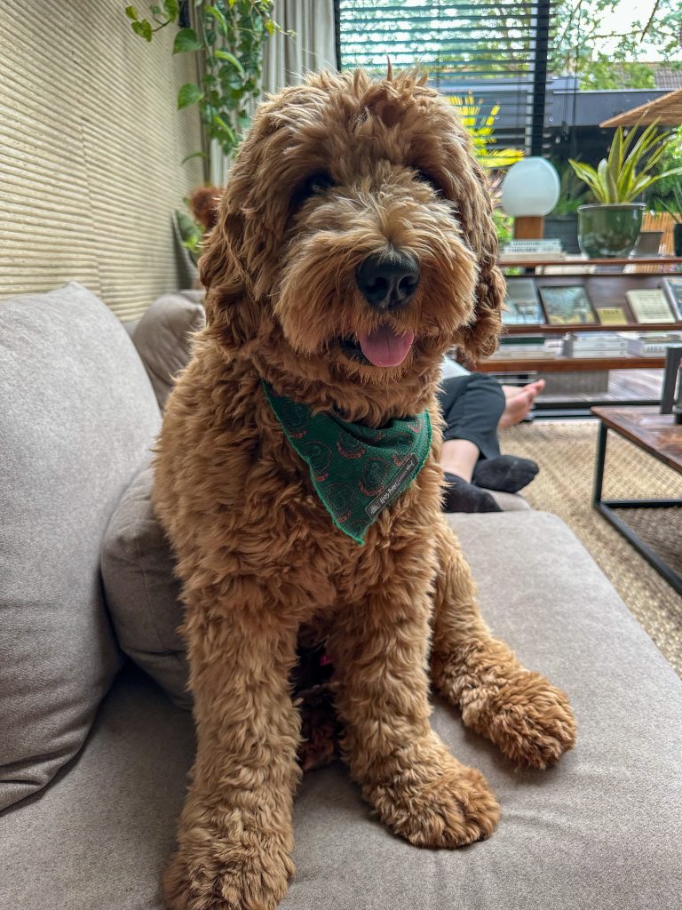 Thuis bij familie over de kook: week 27