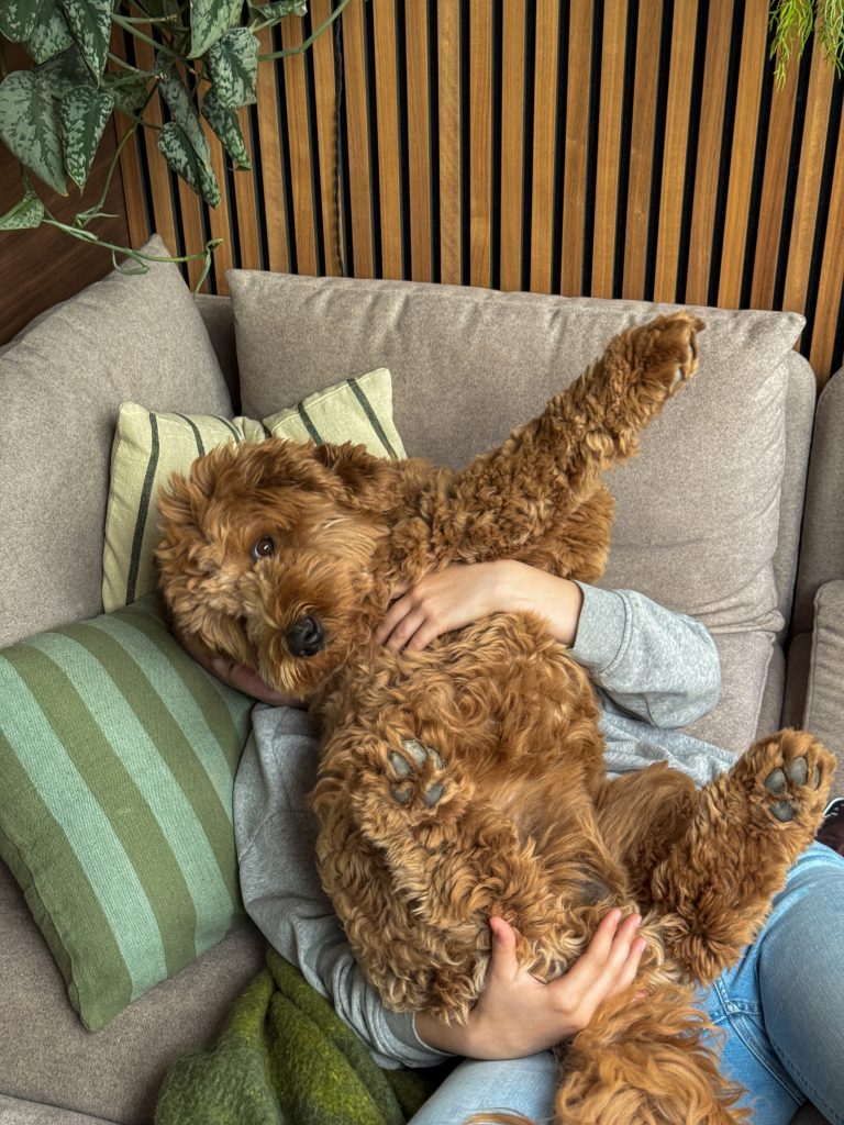 Thuis bij familie over de kook: week 28