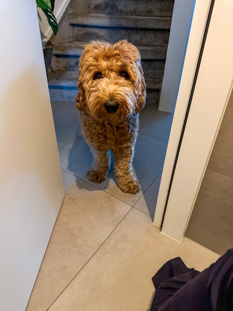 Thuis bij familie over de kook: week 28