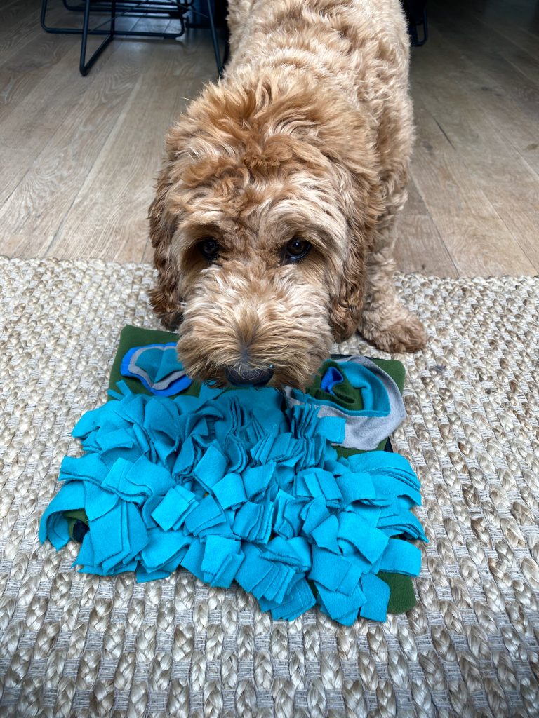 Thuis bij familie over de kook: week 32