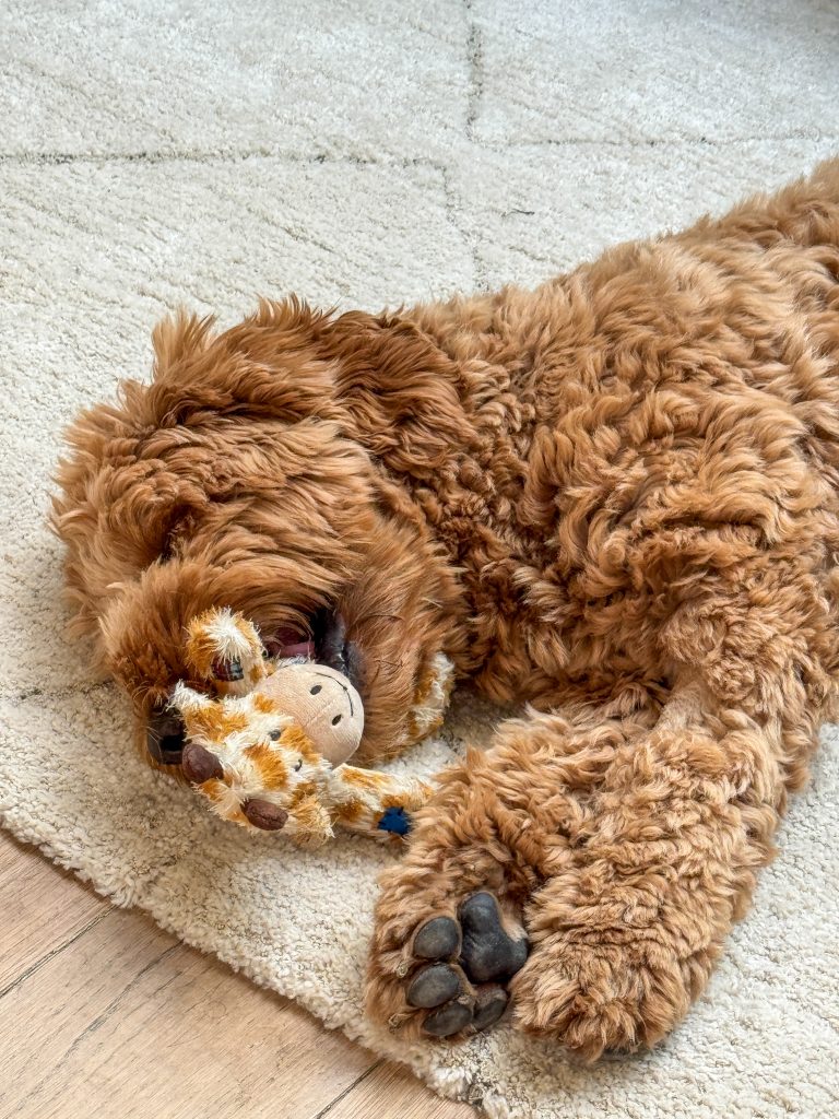 Thuis bij familie over de kook: week 35