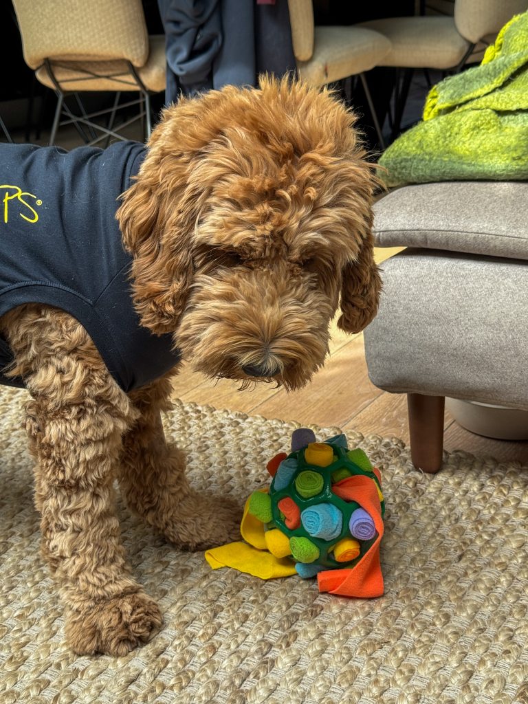 Thuis bij familie over de kook: week 32