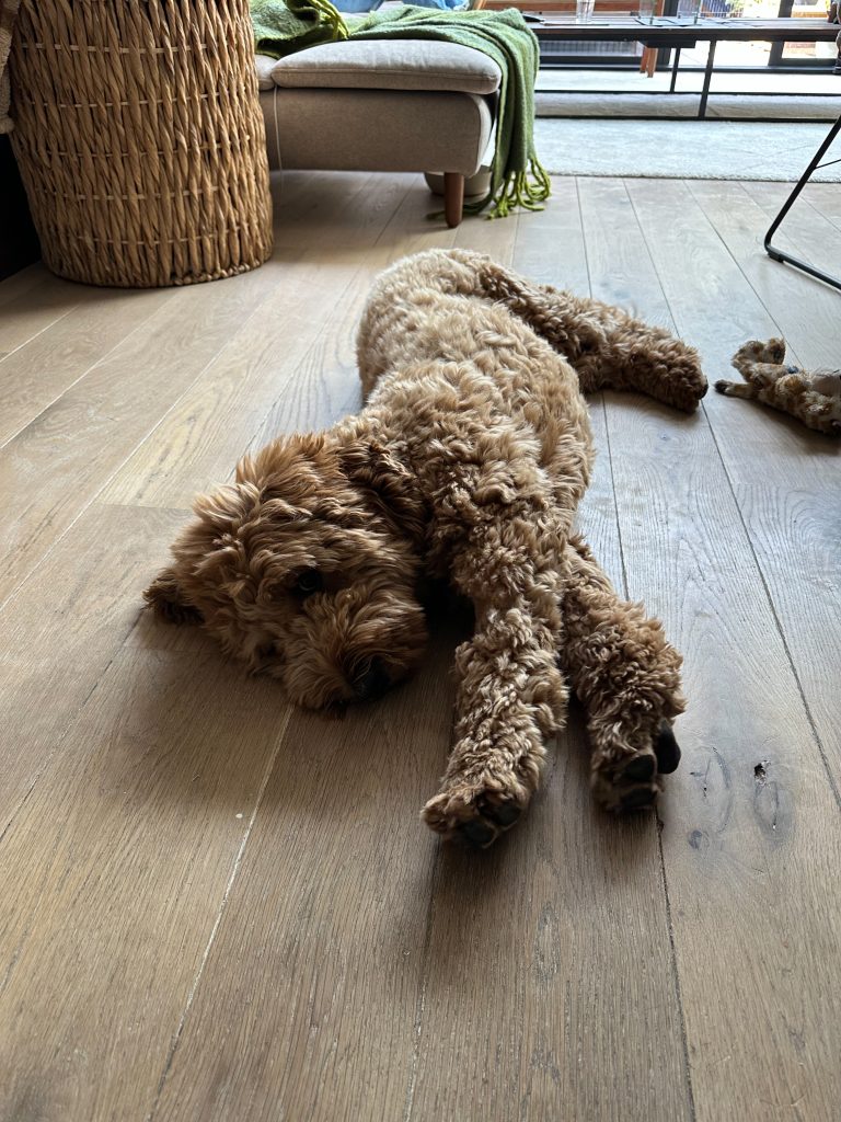 Thuis bij familie over de kook: week 35