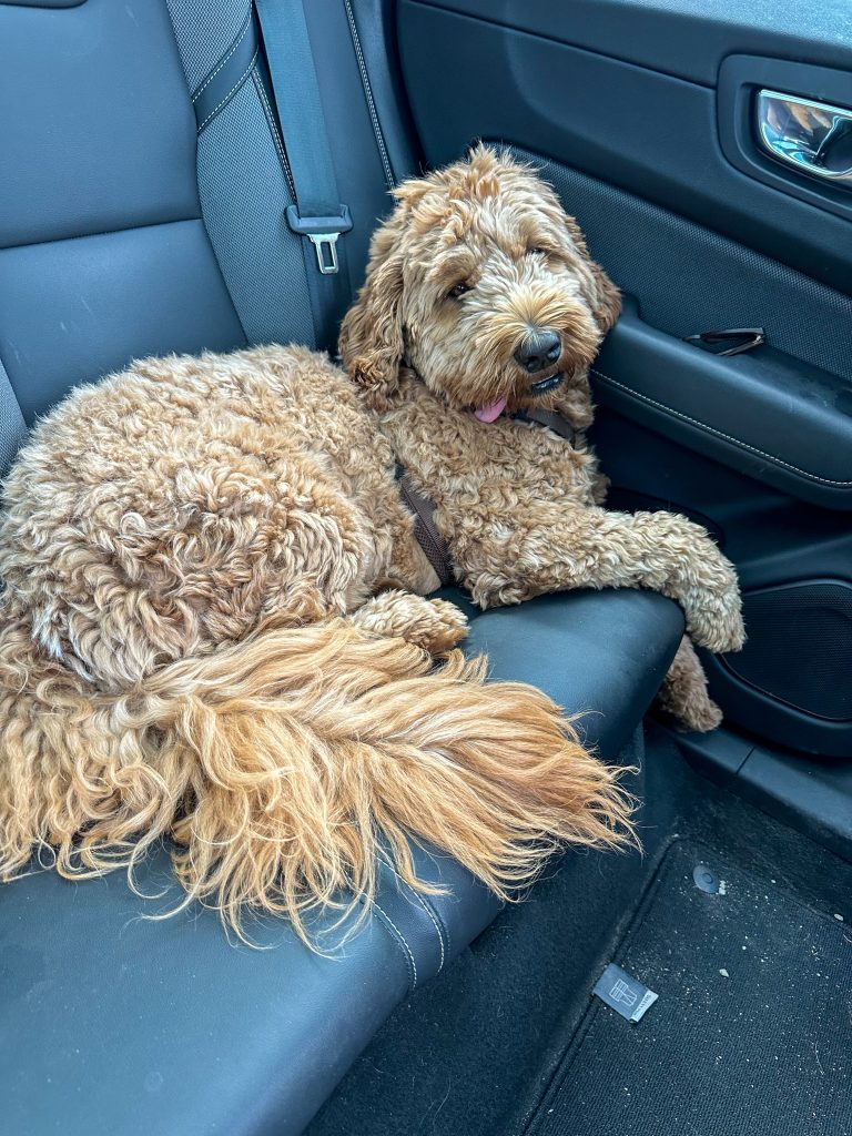 Thuis bij familie over de kook: week 33