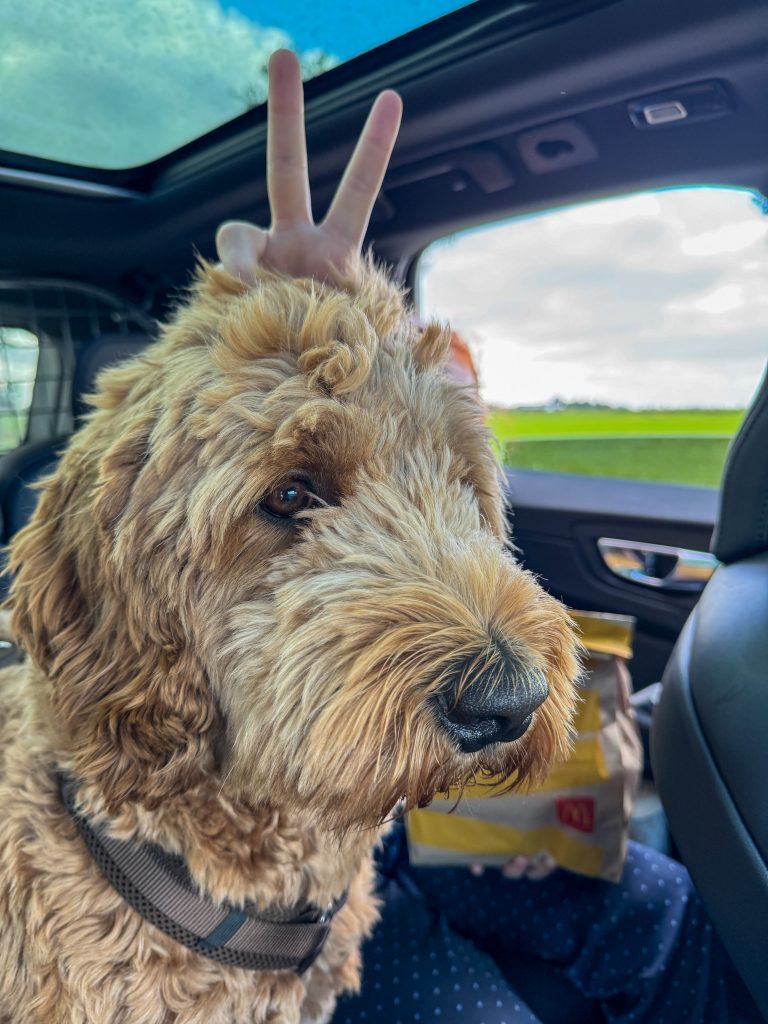 Thuis bij familie over de kook: week 34