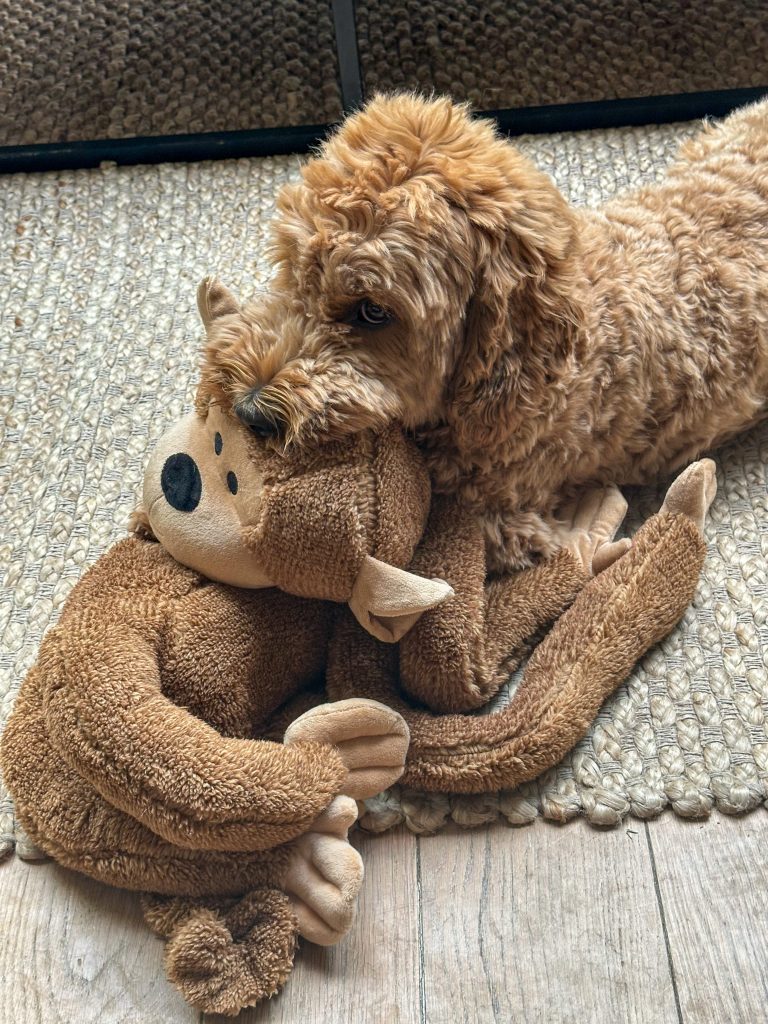 Thuis bij familie over de kook: week 31