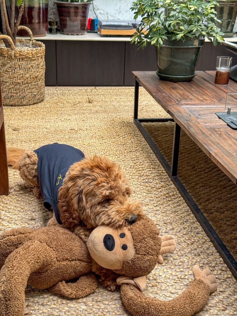 Thuis bij familie over de kook: week 32