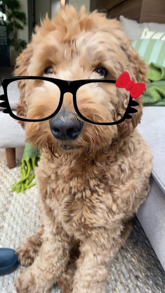 Thuis bij familie over de kook: week 32