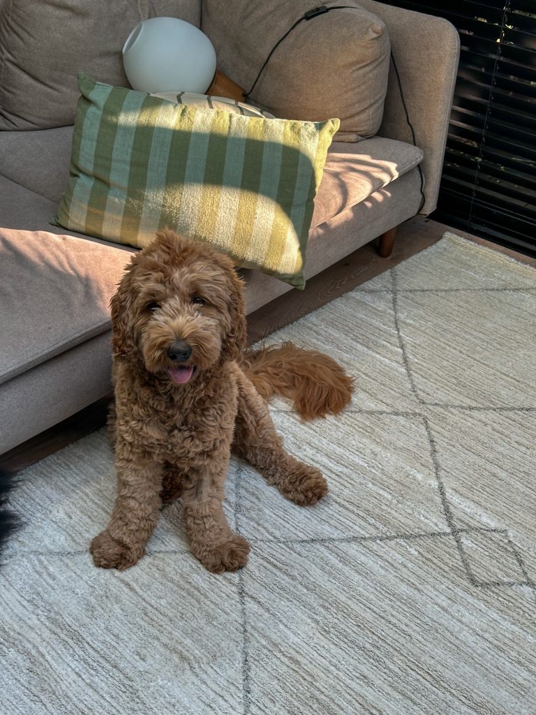 Thuis bij familie over de kook: week 33