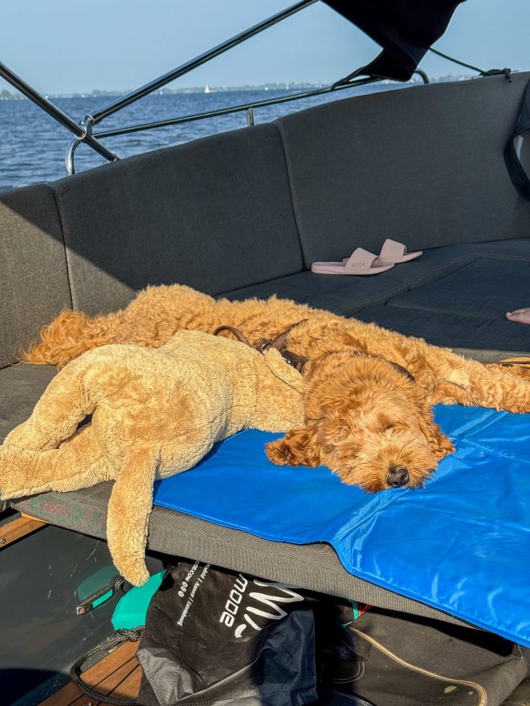 Thuis bij familie over de kook: week 33