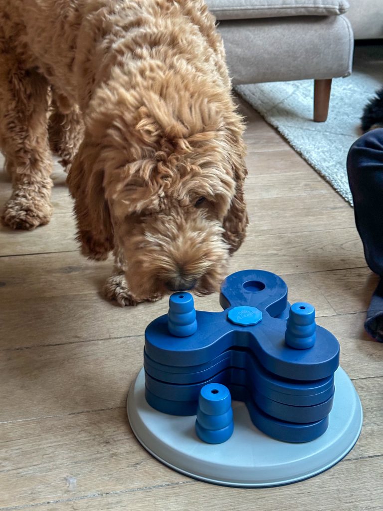 Thuis bij familie over de kook: week 33