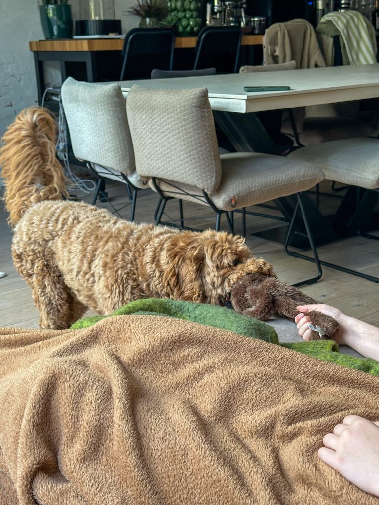 Thuis bij familie over de kook: week 34