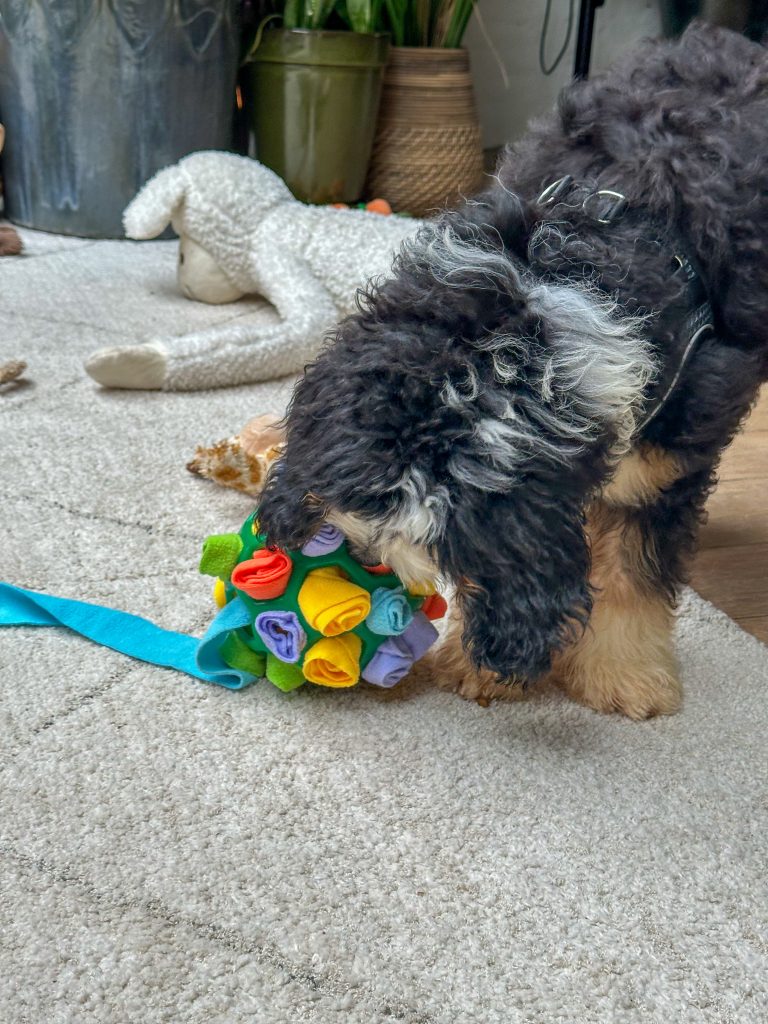 Thuis bij Familie over de kook week 39 - Legend speelt met zijn snuffel spel