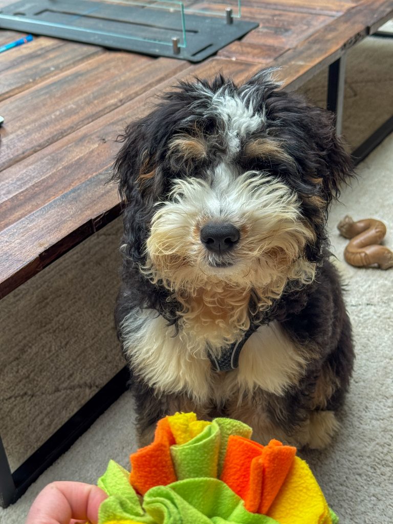 Thuis bij Familie over de kook week 39 - Legend zit te wachten