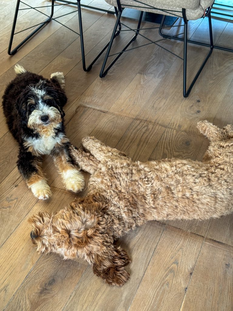 Thuis bij familie over de kook: week 40