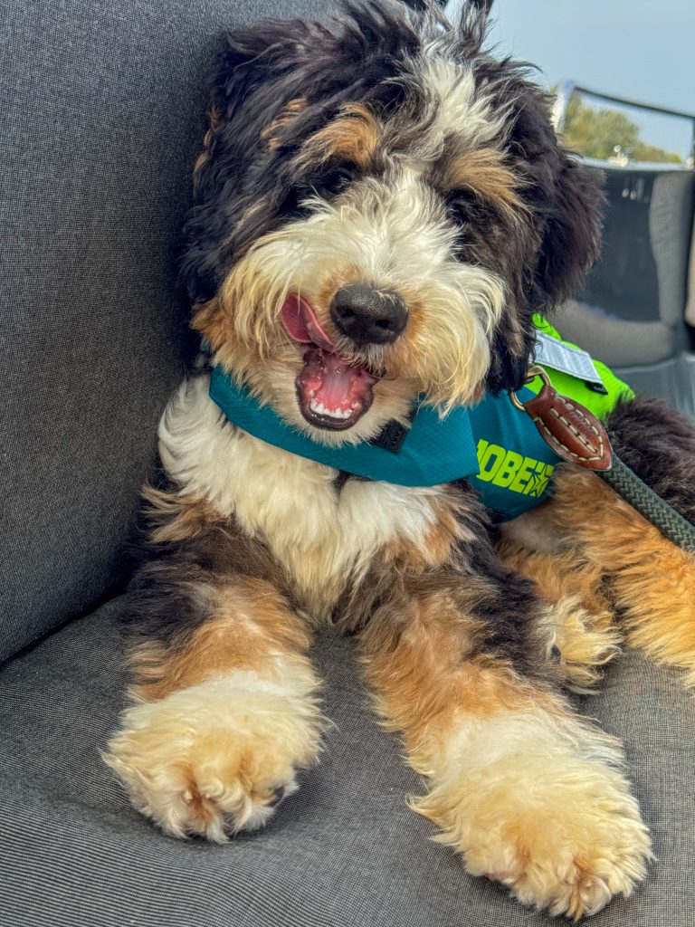 Thuis bij familie over de kook: week 40