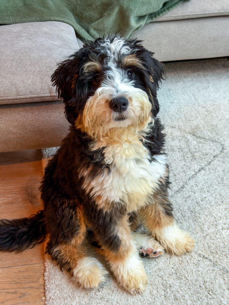 Legend zit op de grond - Thuis bij Familie over de Kook week 41