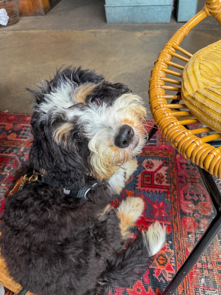 Legend in het restaurant - Thuis bij Familie over de Kook week 41