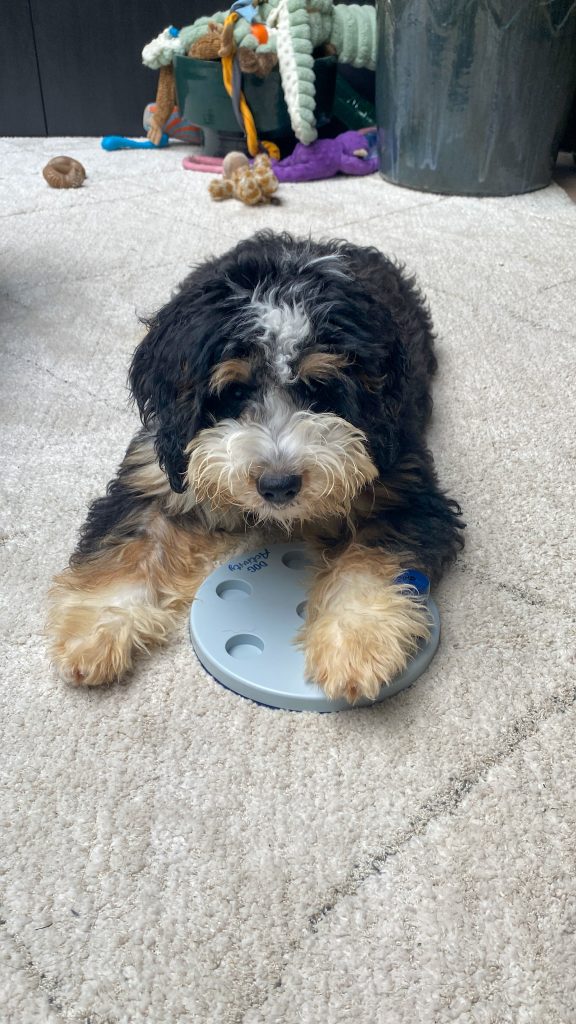 Thuis bij familie over de kook: week 40