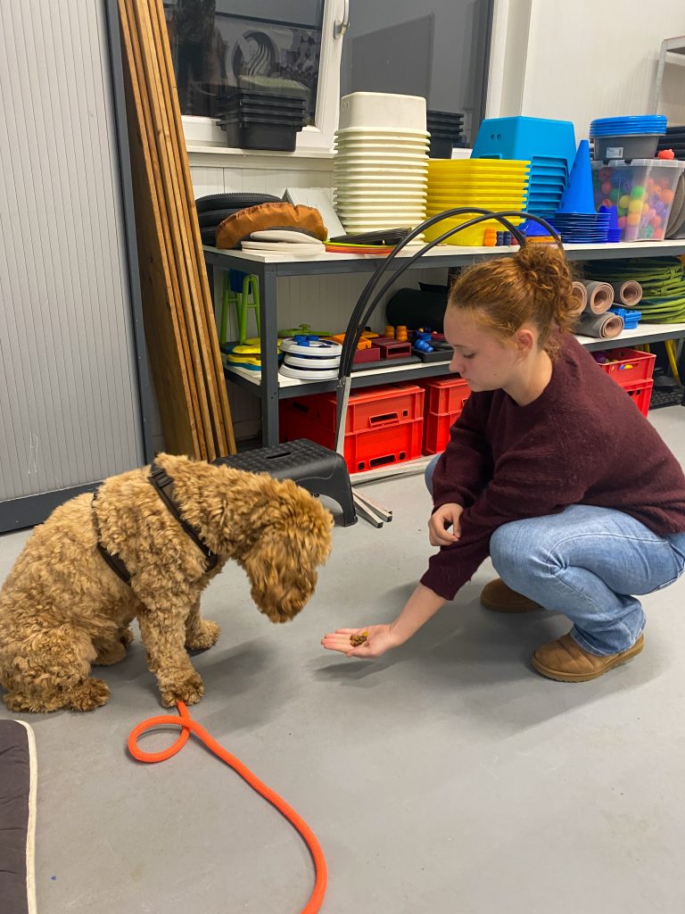 Thuis bij familie over de kook: week 40