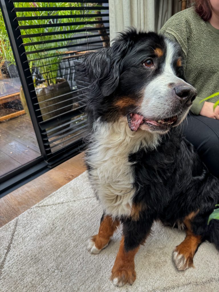 Thuis bij Familie over de kook: week 48