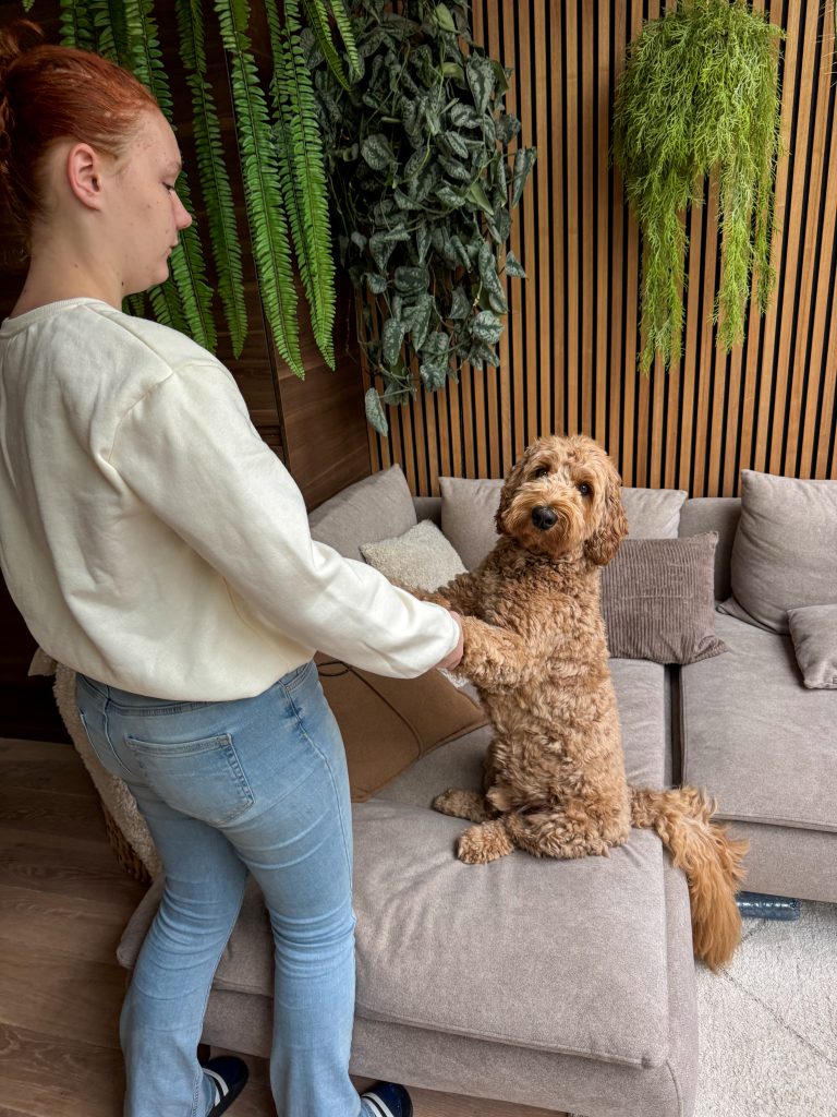 Amaranthe danst samen met hond Teun