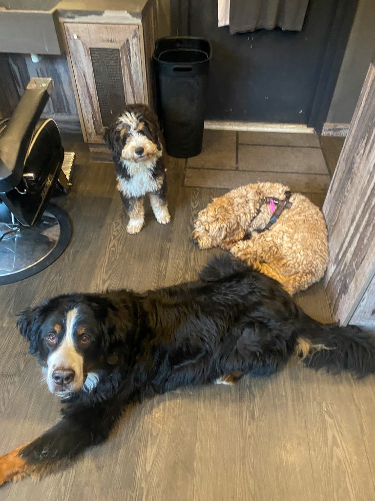 Thuis bij Familie over de kook: week 48