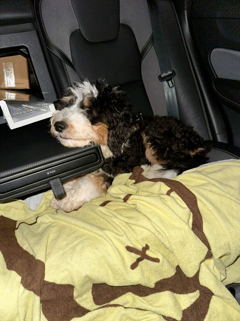 Thuis bij Familie over de Kook: week 45