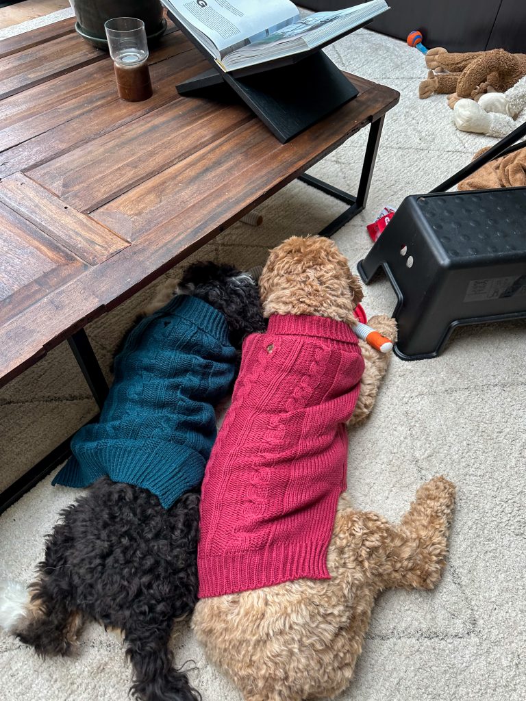 Teun en Legend dragen truien en liggen samen naast elkaar