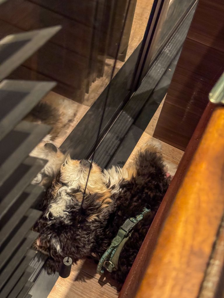 Thuis bij Familie over de Kook: week 45