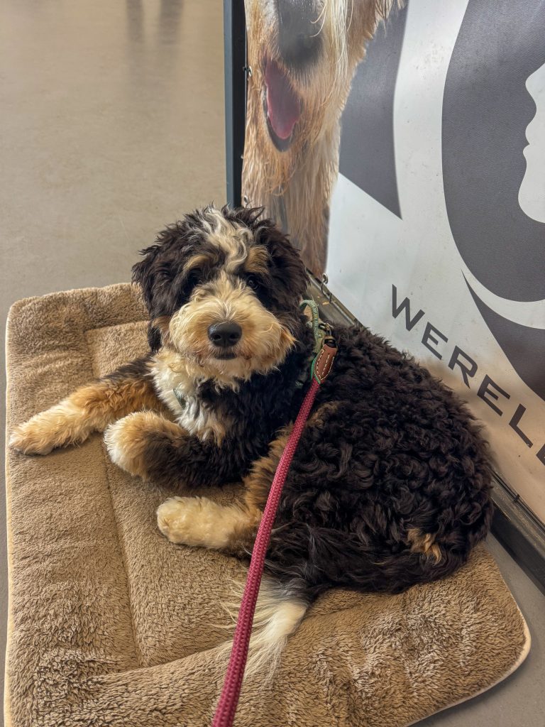 Thuis bij Familie over de Kook: week 45