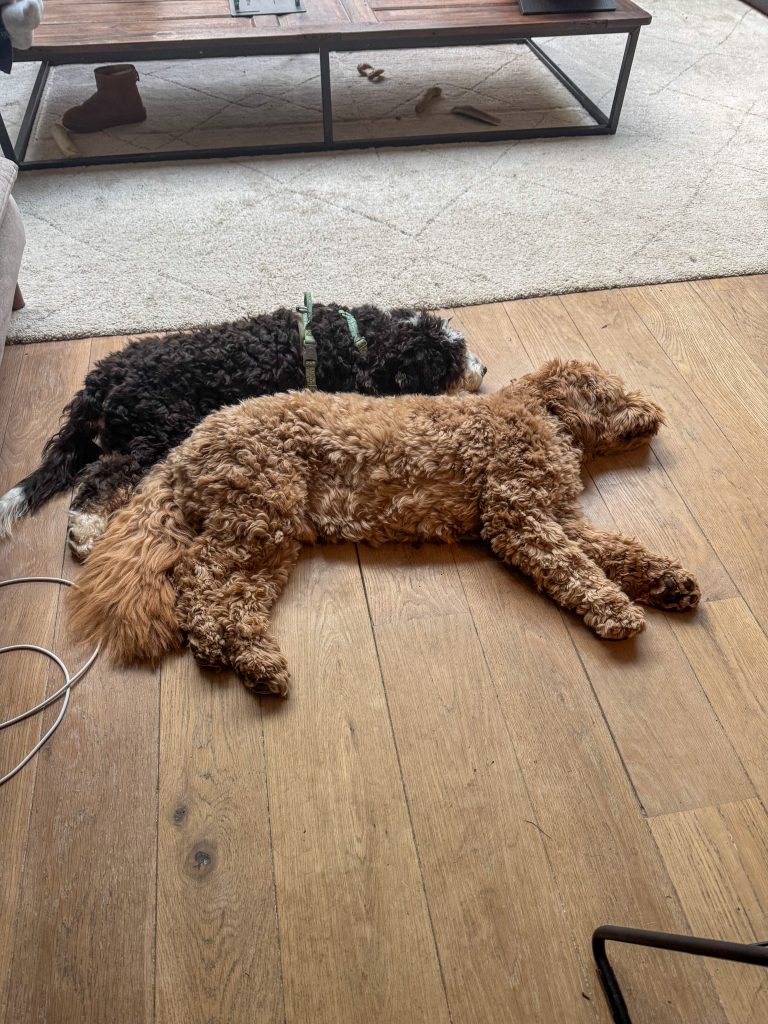 Thuis bij Familie over de Kook: week 45