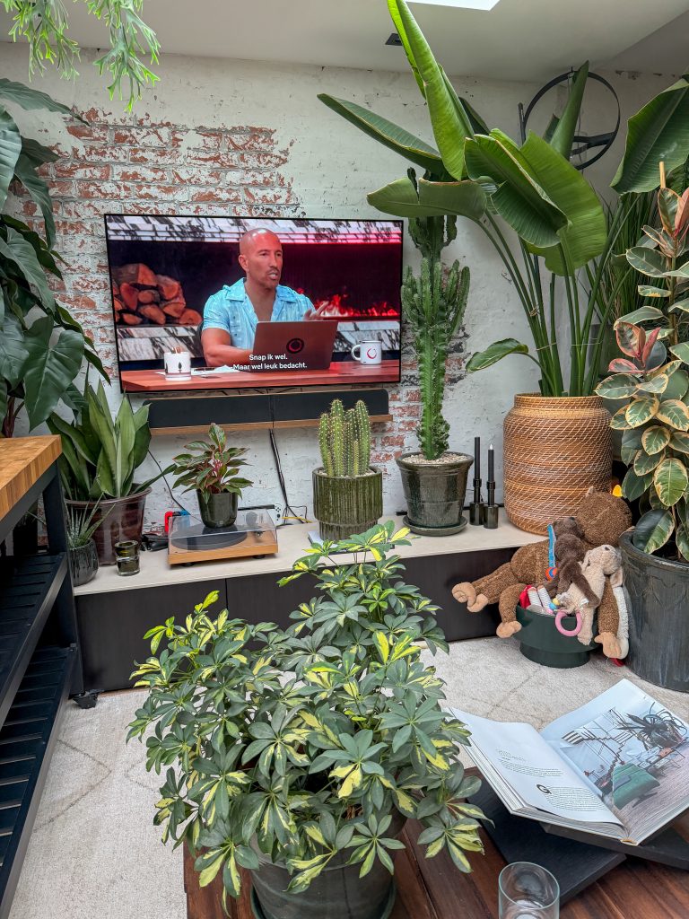 tv met reality serie