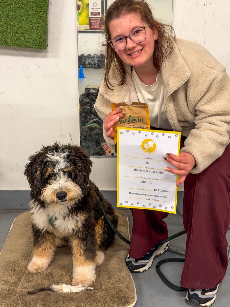 Thuis bij familie over de kook: week 49. beaudine met puppy ledgie na behalen puppycursus diploma hondenschool