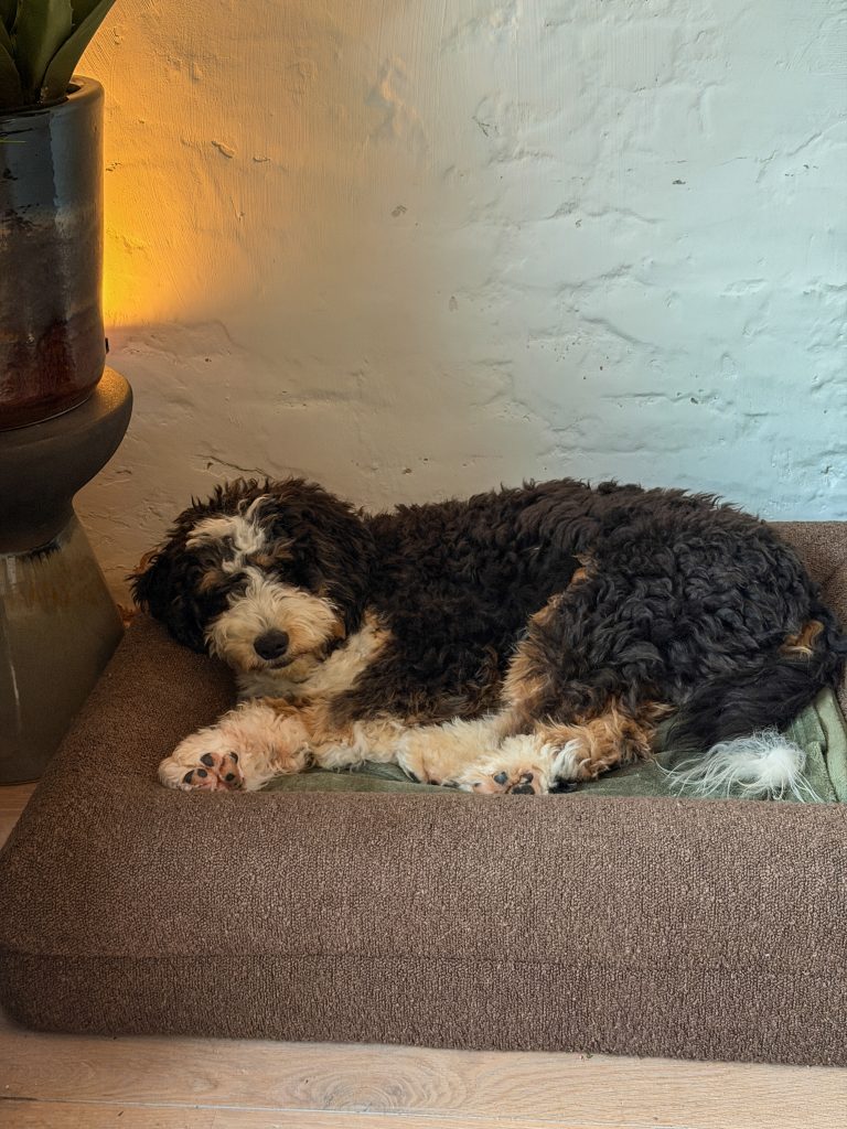 Legend ligt in zijn mand