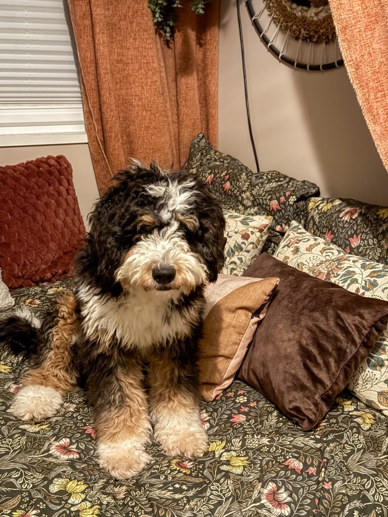 Legend op bed zitten in de slaapkamer