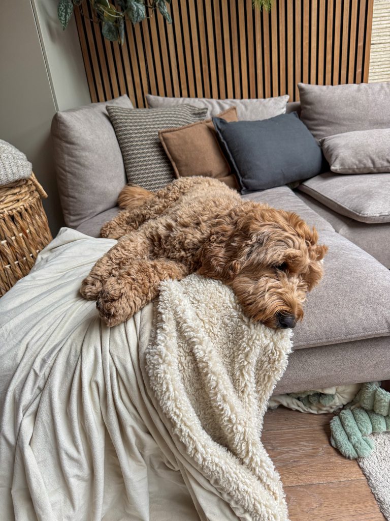 Thuis bij familie over de kook: week 49.