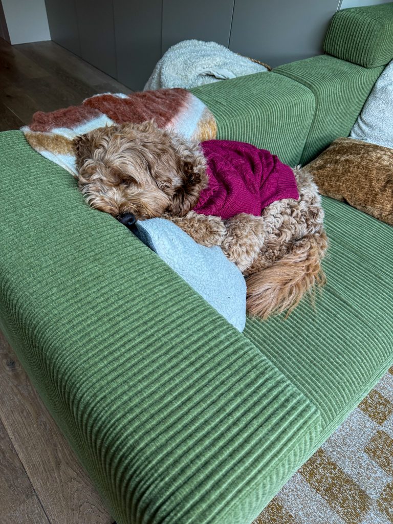 Teun slapend op de groene bank