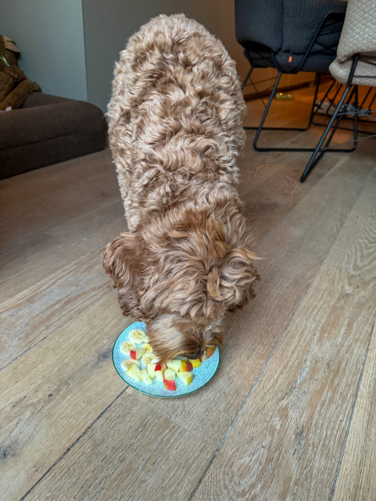 Thuis bij familie over de kook: week 4