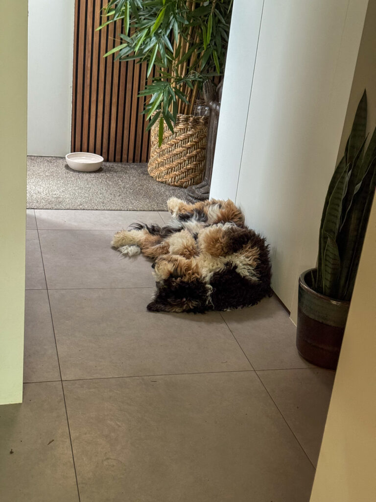 Thuis bij familie over de kook: week 4