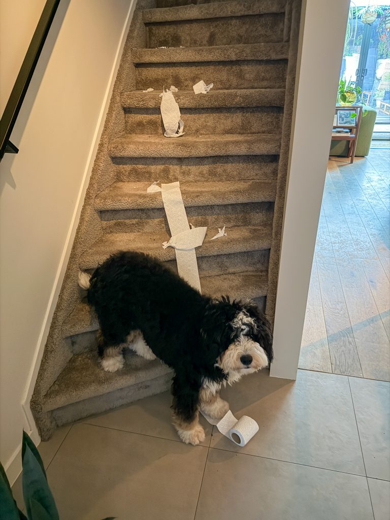 Legend met een wc rol op de trap