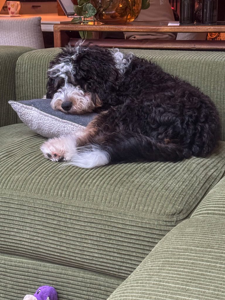 Legend in slaap op de bank