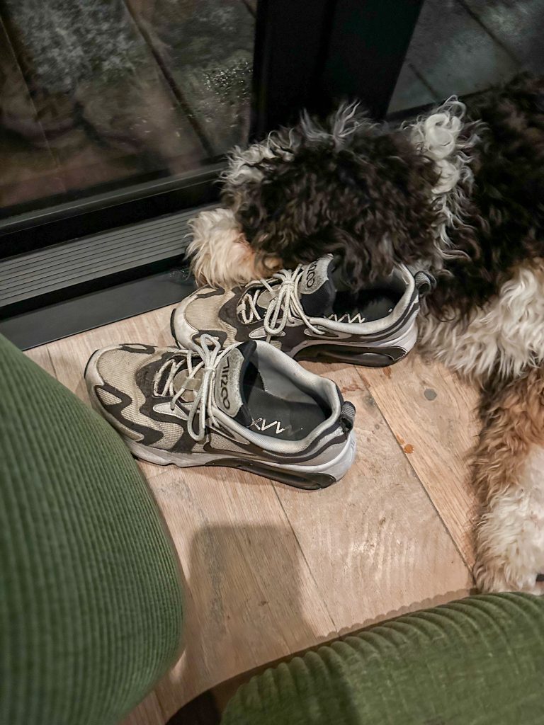Hond Legend ligt bij de deur met zijn kop op een paar sneakers