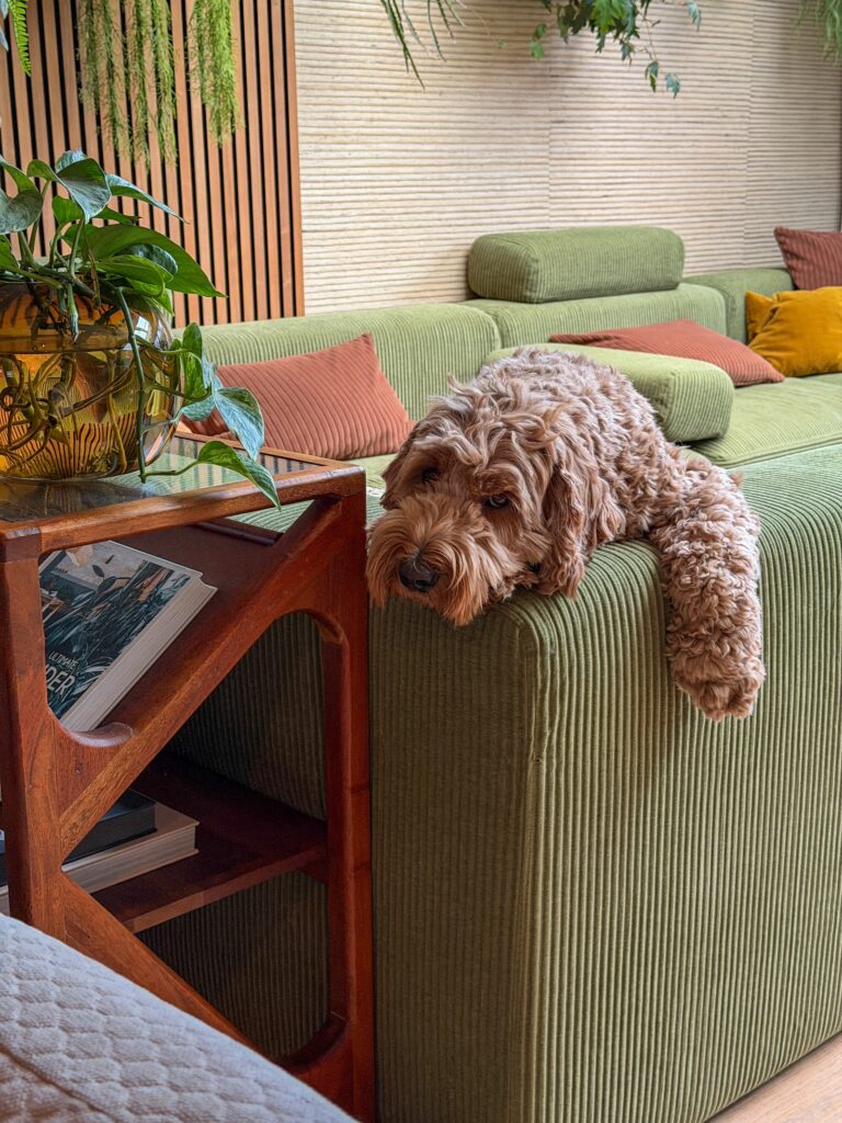 Thuis bij familie over de kook: week 5