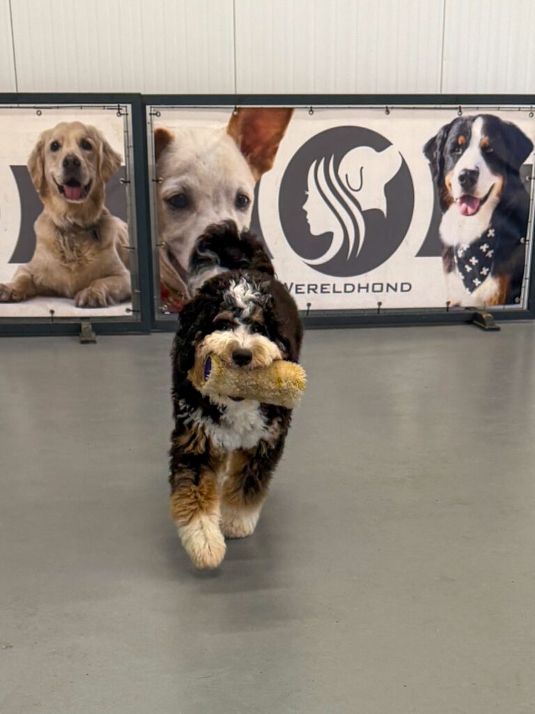 Thuis bij familie over de kook: week 5