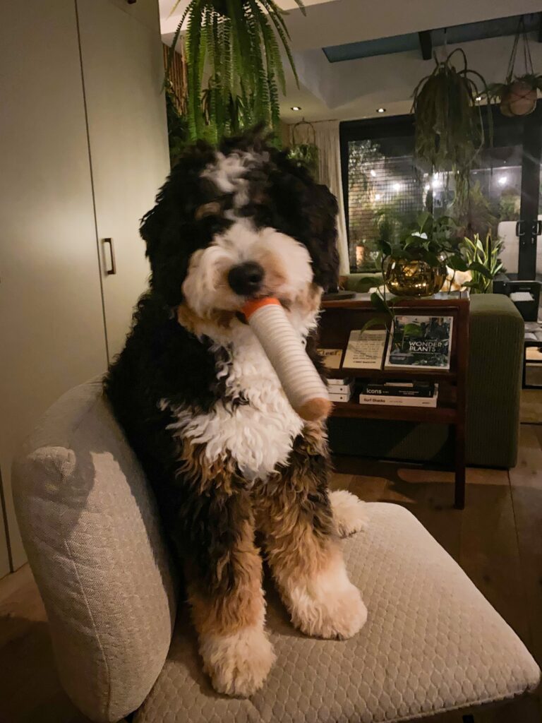 Thuis bij familie over de kook: week 5