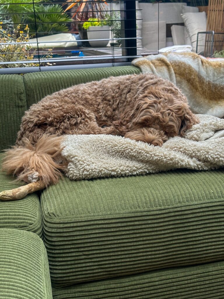 Thuis bij familie over de kook: week 5