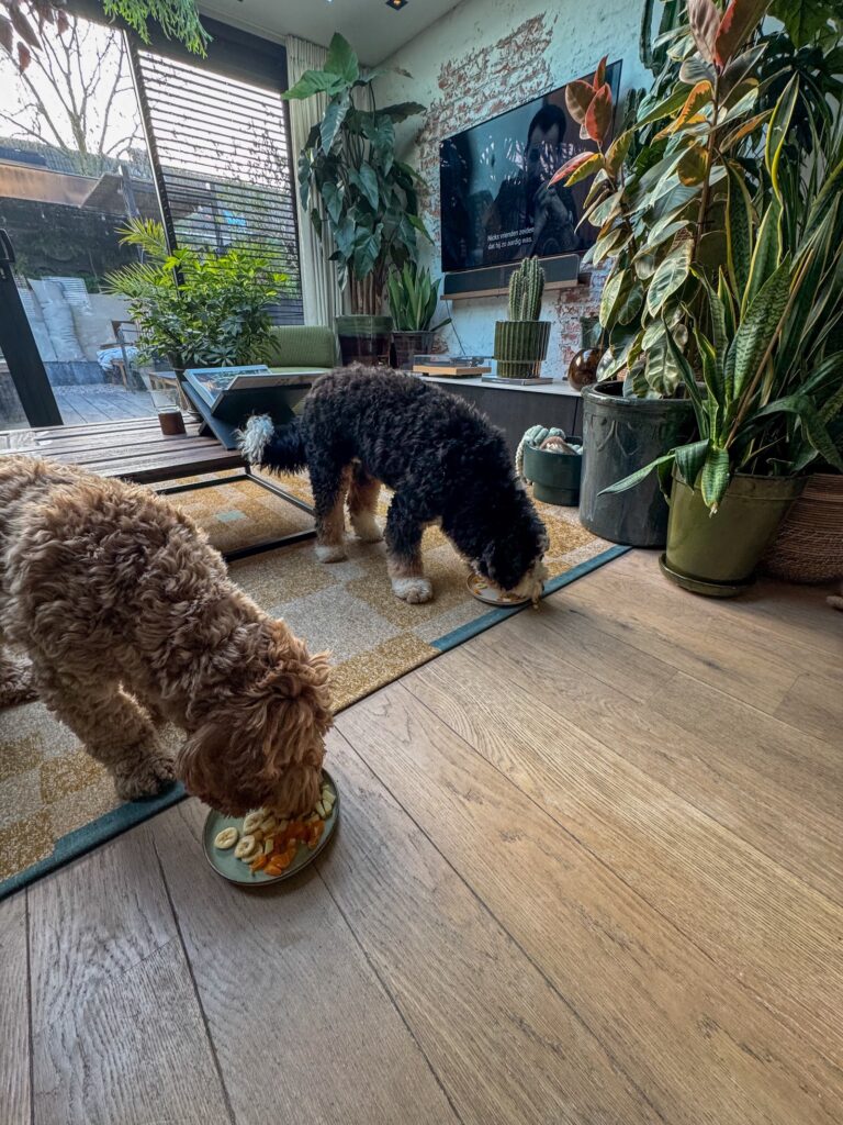 Thuis bij familie over de kook: week 5